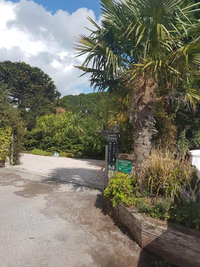 Norwegian Wood Hotel Paignton Exterior photo