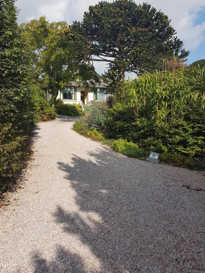 Norwegian Wood Hotel Paignton Exterior photo